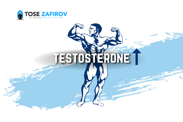 How Can You Increase Testosterone Naturally?